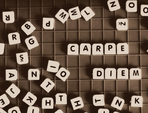 The Enchantment of Words